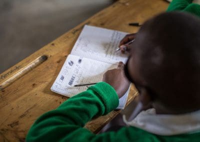 Trauma & Wellness Project